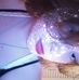 Lacy Calhoun - Facebook