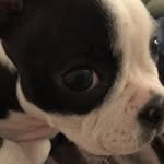 Lacy Rose Callaway - @lacy.rosee - Instagram