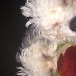 Lacy And Casper - @lacyandcasper - Instagram