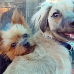 Lacy Christensen - @lacyflying - Instagram