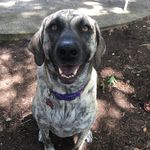 Lacy Clark - @lacy_bear02 - Instagram