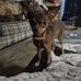 Lesia Conner - Facebook