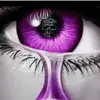 laceycote - @laceycote - TikTok