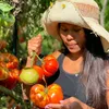 LAY COTE ang Pinay Farmer🇨🇦 - @lay.cote - TikTok