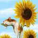 Lucy Cottrell - Facebook