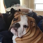 Lacy Cunningham - Facebook