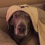 Lacy Decker Barnhart - @ldbarnhart - Instagram