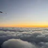 Lacy Dunn - @lacy.dunn - TikTok