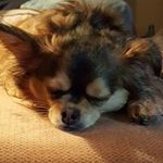lacy r fowler - @lacyfowler1969 - Instagram