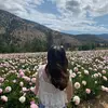 Laci Frank - @lacifrank.03 - TikTok
