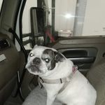 Franklin Lacy - @franklinlacy3 - Instagram
