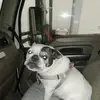 Franklin Lacy - @franklin.lacy - TikTok