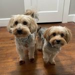 Levi & Lacy Fuller - @its.levi.and.lacy - Instagram