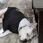 Richard Glenn Lacy - @richardglennlacy - Instagram