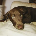 Lacy - @green_eyes_lacy - Instagram