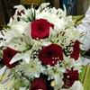 Sachin_Sharoff - @lacygreene58 - TikTok