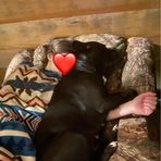 Laci Hadley - Facebook