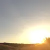 lacy_hanson369 - @lacy_h6 - TikTok