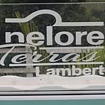 Luiz Lambert - Facebook