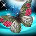 Lacy Lange - Facebook