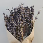 Lacy & Lavender - @lacyandlavender - Instagram