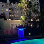 Leyla Lacheri | Alcohol Free Lifestyle + Wellness - @thebe_verageslut - Instagram