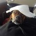 Lacy Lowe - Facebook