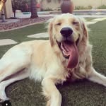 Lacy - @lacy_mayo - Instagram