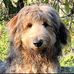 Lucy McCormack - Facebook