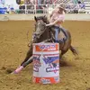 Lacy❤️ - @lacymccoy949 - TikTok