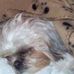 Lacy McLean - Facebook