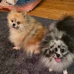 Lacy meier - @lacy44420 - Instagram