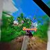 Loicy Hmar - Facebook