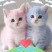 Lis Mar - Facebook