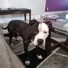 Michael Lacy - @michaellacy990 - TikTok