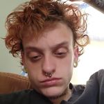Lacy Mills - @llama_snacks3 - Instagram