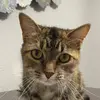 Lacy Ogden - @reallylacy - TikTok