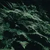 lacyporter477 - @lacyporter477 - TikTok