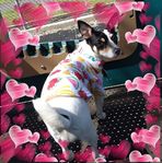 Lacie Prevost - Facebook