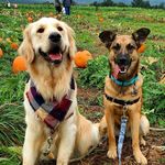 River and Lacy - @river_and_lacy - Instagram