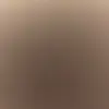 lacy robbins - @lacy.robbins - TikTok