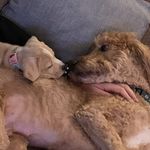 Tito and Lacy Simmons - @titoandlacy - Instagram