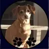 lacystephens551 - @lacystephens551 - TikTok