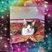 Laci Townsend - Facebook