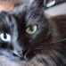 Tyson Lacy - Facebook