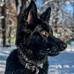 Tyson - @tyson_lacy_ - Instagram