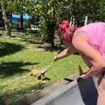 Lacy Wallace - @lucewheel12 - Instagram
