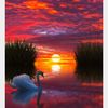 Lacy Walters - @sunsetsmartsmile - TikTok