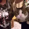 lacy.weaver1011 - @lacy.weaver1011 - TikTok