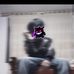Luis Weed - Facebook